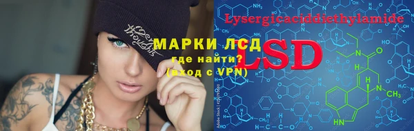 эйфоретик Белокуриха
