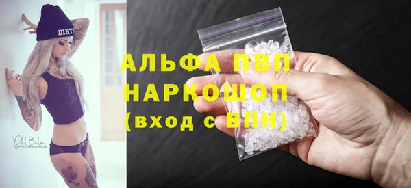 шишки Белоозёрский