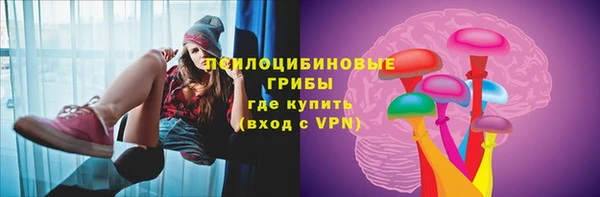 шишки Белоозёрский
