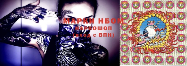 шишки Белоозёрский