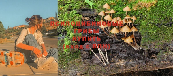 трава Заволжье
