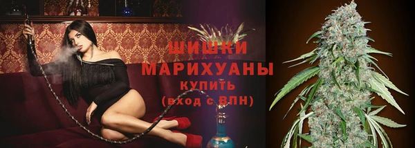 эйфоретик Белокуриха